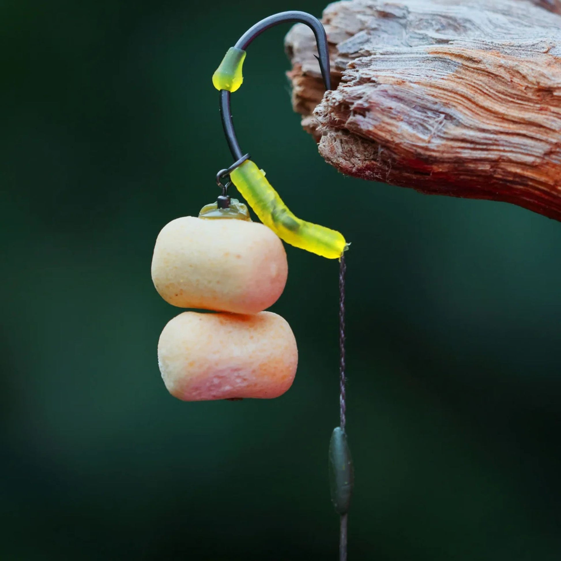 Carp rig with OMC Blend GOAT Tungsten Putty 25 gr applied to hooklink