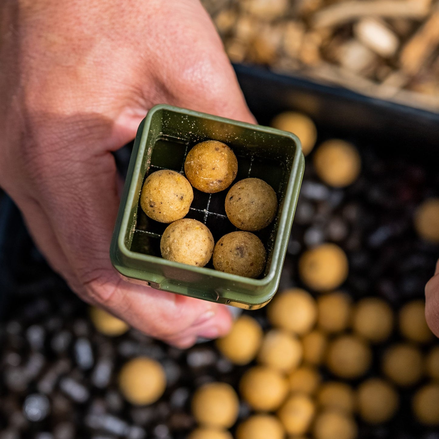 Step 3: Add boilies to grid