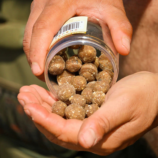 OMC iScream Boosted Cured Hookbaits open tub showing mixed 15 mm and 18 mm hookbaits