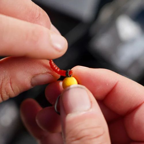Tweakers Maggot Boomerangs - imitation maggot being inserted into the Zig Zombie moulded loop