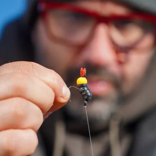 Tweakers Zig Zombies Bodies - completed Zig Rig presentation with black insect body hookbait ready for fishing
